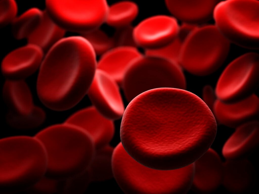 RedBloodCells